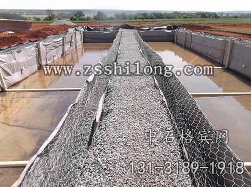 zsshilong23.jpg zsshilong23.jpg