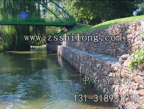 zsshilong15.jpg