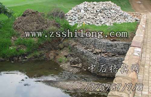 zsshilong09.jpg zsshilong09.jpg