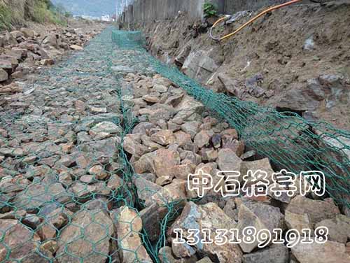 zsshilong34.jpg zsshilong34.jpg