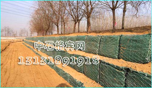 zsshilong80.jpg zsshilong80.jpg